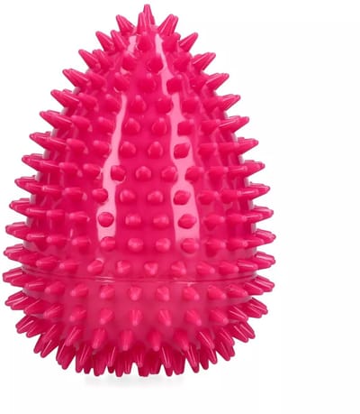 Dog Comets Cosmic Egg - L - Hondenspeelgoed - Drijvend Ei met Pieper - Onvoorspelbare Stuiter - Roze