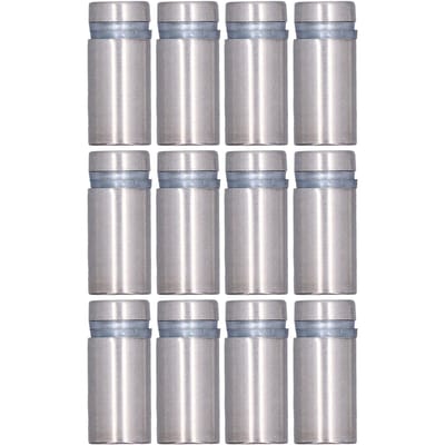 12 Stuks Afstandsschroeven Roestvrij Staal Muurbord Reclame Hardware Nagel voor Acryl 12inx1in