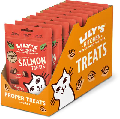 Lily's Kitchen - Kattensnacks - Zalm 10 x 60 g