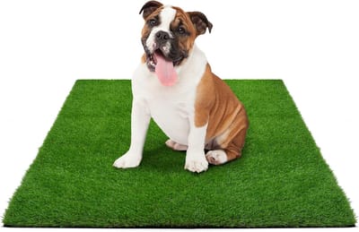 Kunstgras Hond - Trainingsmat Puppy - Zindelijkheidstraining Buiten - Realistisch Grasoppervlak - 50 x 60 cm - Groen