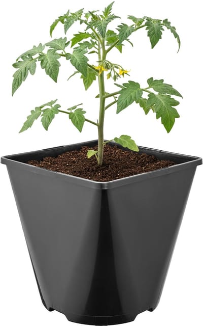 Garronda Set van 5 afgeronde vierkante kunststof bloempotten met drainagegaten voor tuin (Zwart, 15,7 x 15,7 x 16 cm (3L)) GD-KW-SR