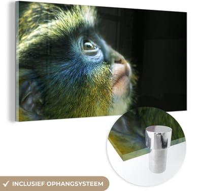 MuchoWow® Glasschilderij 40x20 cm - Schilderij acrylglas - Aap - Vacht - Zwart - Foto op glas - Schilderijen