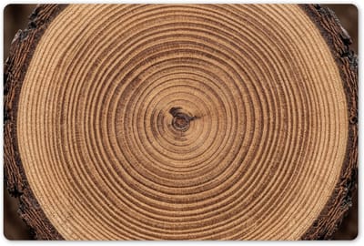 Placemats 45x30 cm - Placemat kunststof - 1 stuk - Boomstam - Hout - Bruin - Borden onderleggers - Decoratie voor op tafel - Keuken tafeldecoratie accessoires - Vinyl onderlegger - Tafelversiering