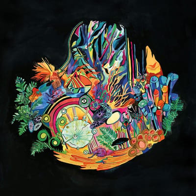 Kaitlyn Aurelia Smith - Ears (CD)