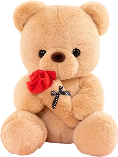 Livano Teddybeer - Knuffelbeer - I Love You - Klein - 12 Jaar En Ouder - Schattige Knuffels - Bloemen - Bruin