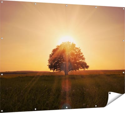 Gards Tuinposter Zonsondergang Achter een Grote Boom - 160x120 cm - Tuindoek - Tuindecoratie - Wanddecoratie buiten - Tuinschilderij