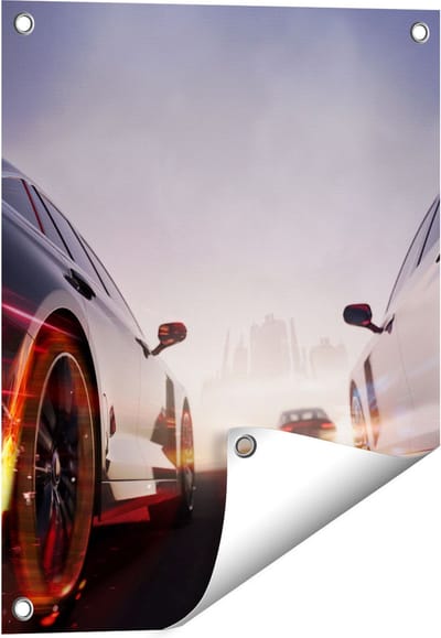 Gards Tuinposter Twee Raceauto's - Blauw Tegen Rood - 40x50 cm - Tuindoek - Tuindecoratie - Wanddecoratie buiten - Tuinschilderij