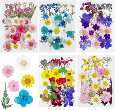 Allecto Plus - Diverse Natuurlijke Gedroogde Bloemen en Bladeren voor Sieraden en Scrapbooking met Epoxyhars - Zwart en Wit Mix - 170 stuks