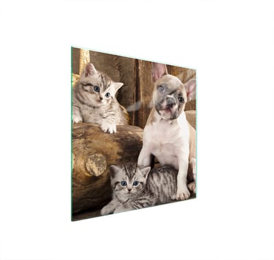 TMK ArtDeko - Beschermplaat voor Kookplaat - Glas - 50x52 cm - Hondmotief