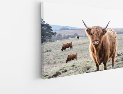 Saammp Canvas Schilderij Schotse Hooglander Koe in het bevroren gras - Dieren - Natuur - 45x30 - Foto op canvas - Wanddecoratie - muurdecoratie Woonkamer - Slaapkamer decoratie - Canvas Print