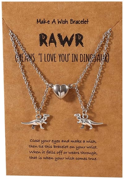 BFF Ketting voor 2 met Tyrannosaurus Rex en Magneet Hartje Zilverkleurig - Dinosaurus Vriendschapsketting met Cadeau kaartje - Pax Amare