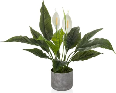 Kunstplant Spathiphyllum - Nep Plant - Decoratie Huis - Realistische Uitstraling - 60 cm Hoog - Groen Wit