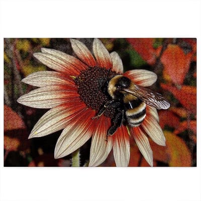 Puzzel 5000 stukjes bloem, moderne puzzel 5000 stukjes volwassenen, houten puzzel voor volwassenen, een uitdagend raadsel, puzzelspellen voor de hele familie, houten puzzel voor decoratie woonkamer