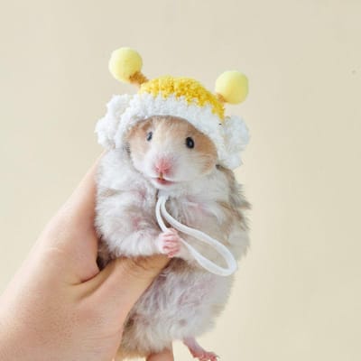 Schattig Decoratief Hamster Wolmutsje Zacht Ademend Gehaakt Gebreid Hamstermutsje Verstelbaar Mini Huisdiermutsje Voor Vogels Rat Cavia white