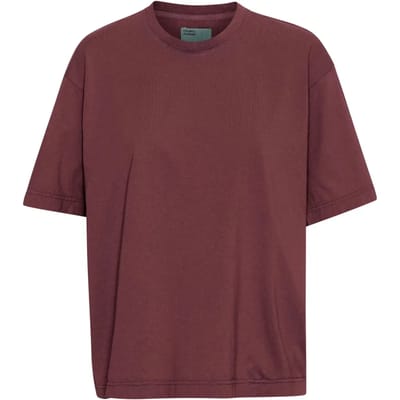 Oversized T-shirt Colorful Standard Organic