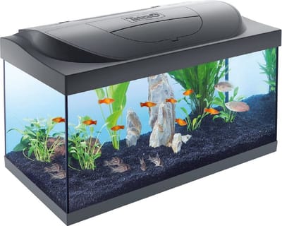 Starter Line Aquarium - Zwart Led - 54 Liter - Incl. Filter en Verwarming