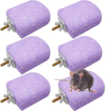 Hamster-springplateau – Klimtrapjes – Puimsteenrichel – 6-delige set – Kooi-accessoires – Geschikt voor hamsters, eekhoorns, papegaaien, enz. – Paars