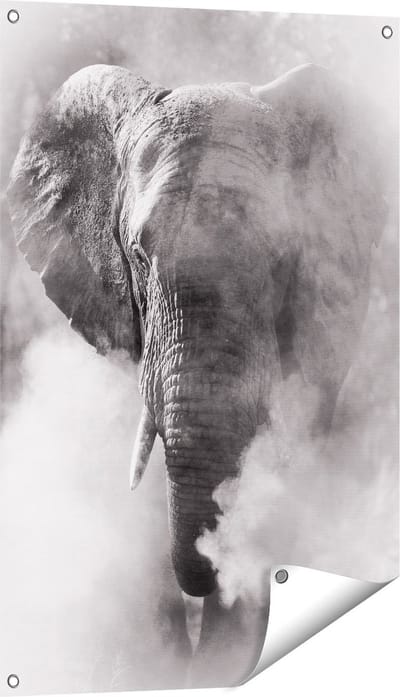 Gards Tuinposter Olifantenkop - Olifant - Zwart Wit - 60x90 cm - Tuindoek - Tuindecoratie - Wanddecoratie buiten - Tuinschilderij
