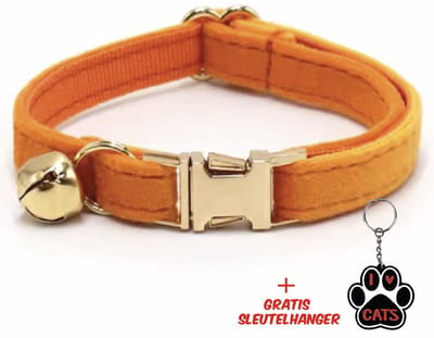 SilverAndCoco® - Oranje Katten Halsband met Bel met Gratis Sleutelhanger | Velvet Kat Kitten Bandje met belletje | Kattenhalsband Suède Gouden | Kleding Decoratie Poezen | Kattenbandje Huisdier Poes - Goud