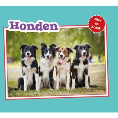 Honden - Dier In Huis - Christina Mia Gardeski