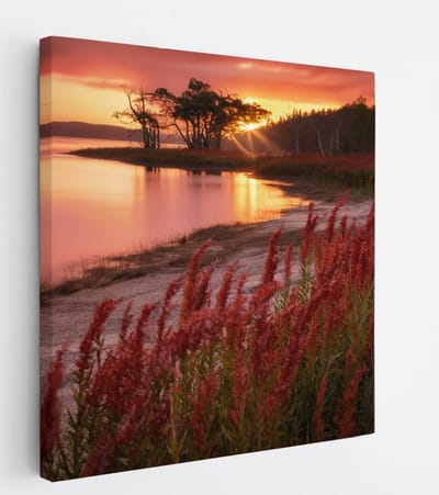 Saammp Canvas Schilderij - Rode Planten - Landschap - Zon - Bloemen - Natuur - 20x20 - Foto op canvas - Wanddecoratie - Muurdecoratie Woonkamer - Slaapkamer decoratie - Canvas Print