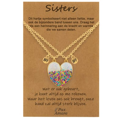 BFF Ketting voor 2 'Sisters' - Magnetisch Glitter Hartje - Vriendschapsketting op Cadeau Kaartje - 45cm + 5cm verstelbaar - Goudkleurig - Best Friends Hanger - Pax Amare