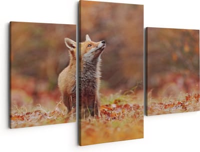 Artaza Canvas Schilderij Drieluik Vos in het Bos tussen de Bladeren - 150x120 - Groot - Foto Op Canvas - Canvas Print