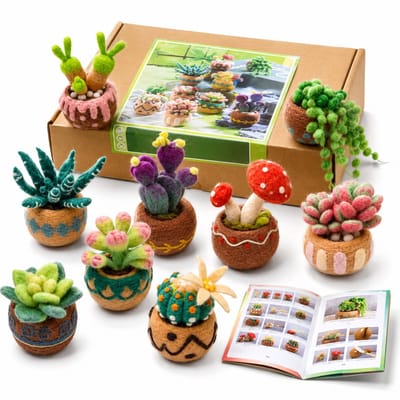BOTC Naaldvilten Starterset - Vetplanten - Compleet Needle Felting Pakket met Gekaarde Wol, Viltnaalden & Instructies