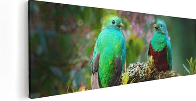 Artaza Canvas Schilderij Quetzal - 60x20 cm - Wanddecoratie Vogels - Muurdecoratie Tropisch - Kamer Accessoires Woonkamer