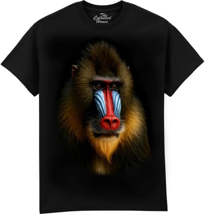 Mandrill The Coloured House T-shirt XXL