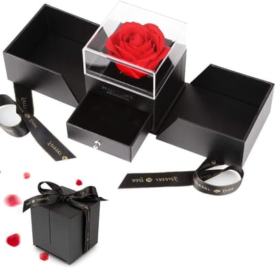 Eternal Infinity Rozen Box, Luxe Geschenken voor Vrouwen, Perfecte Cadeaus voor Verjaardag, Valentijnsdag en Moederdag, Elegante Rode Bloemen Boxen