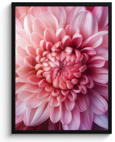 Poster in lijst - Fotolijst 50x70 cm - Posters - Dahlia - Bloem - Close up - Roze - Posterlijst zwart - Decoratie - Wanddecoratie woonkamer - Muurdecoratie slaapkamer