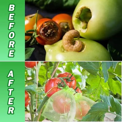 100 stuks Vruchtbeschermzakken – Groene Gaasvruchtzakken (6 x 8 inch) voor Vruchtenbomen, Met Trekkoord, Om Druiven, Appels, Mango’s en Peren te Beschermen Tegen Insecten, Vogels en Eekhoorns