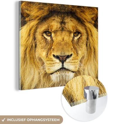 MuchoWow® Glasschilderij 50x50 cm - Schilderij acrylglas - Leeuw - Portret - Bruin - Foto op glas - Schilderijen
