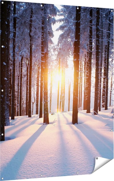 Gards Tuinposter Bos met Sneeuw tijdens de Zonsondergang - 120x160 cm - Tuindoek - Tuindecoratie - Wanddecoratie buiten - Tuinschilderij