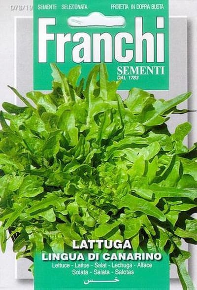 Franchi - Lattuga Lingua Di Canarino - Kropsla Kleinbladig