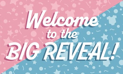 Q2P – Gender Reveal Gevelvlag – 150×90 cm XXL - Ooievaar - Geboorte Versiering - Vlaggenlijn – Binnen & Buiten - Vlag