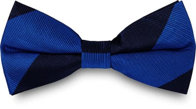 Zijden Vlinderdas met Strepen in Marineblauw & Koningsblauw