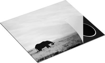 Chefcare Inductie Beschermer Olifant in het Savanne Veld - Zwart Wit - 60x50 cm - Afdekplaat Inductie - Kookplaat Beschermer - Inductie Mat