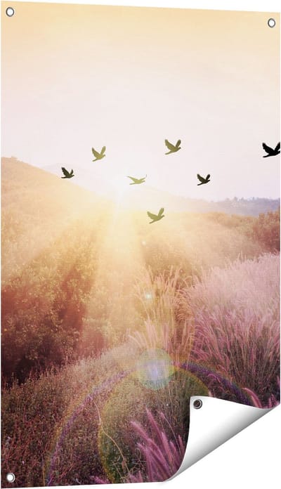 Gards Tuinposter Silhouet Zwerm Vogels bij Zonsondergang - 60x90 cm - Tuindoek - Tuindecoratie - Wanddecoratie buiten - Tuinschilderij