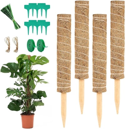 Plantstand voor Monstera en Klimplanten, 4 Stuks, 40 cm Hoog, Vouwbare Kokosstokken voor Thuis en Tuin