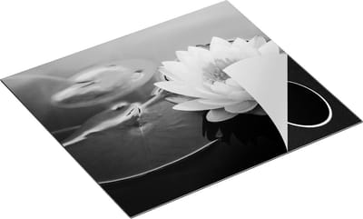 Chefcare Inductie Beschermer Roze Lotusbloem met Waterlelies - Zwart Wit - 60x50 cm - Afdekplaat Inductie - Kookplaat Beschermer - Inductie Mat
