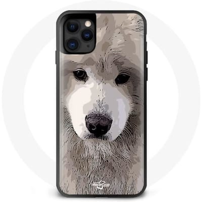 Coque Iphone 11 Samoyede