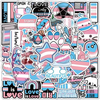 10 30 60 Stuks Transgender Trots Stickers Speelgoed Regenboog Lesbisch Biseksueel Panseksueel Homo Graffiti Decals Skateboard Laptop Sticker