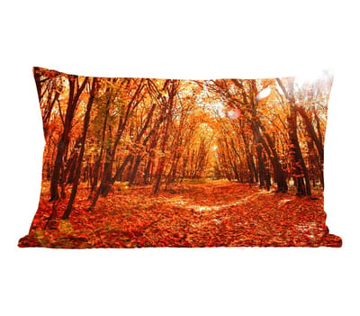 Sierkussens - Kussentjes Woonkamer - 50x30 cm - Herfst - Bos - Bladeren - Seizoenen