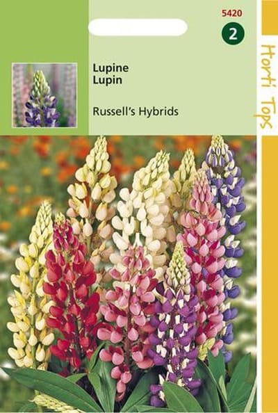 Hortitops Zaden - Lupinus Polyphyllus Russell'S Hybr. Gemengd