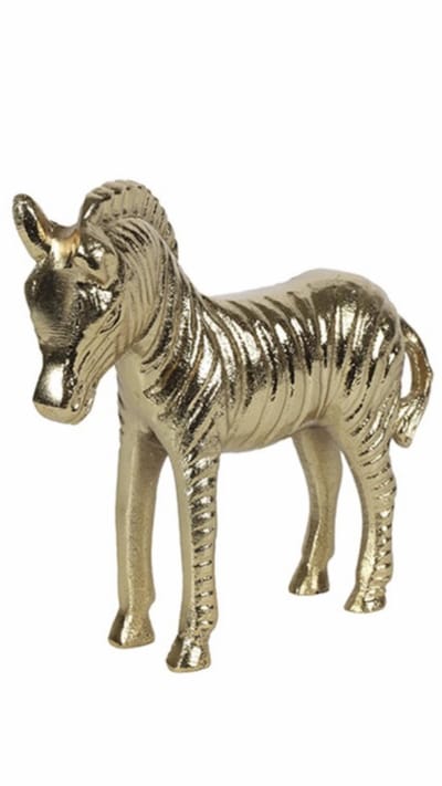 Zebra - Lando M - gold - L21B7H19CM