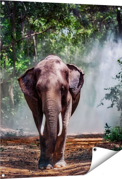 Gards Tuinposter Olifant in het Bos - 80x100 cm - Tuindoek - Tuindecoratie - Wanddecoratie buiten - Tuinschilderij
