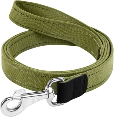 WAUDOG Canvas Hondenlijn / Hondenriem - Katoen - Waterafstotende coating - Legergroen - Reflecterend - Breedte: 35 mm - Lengte: 500 cm