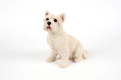 zittende  West Higland Terrier
